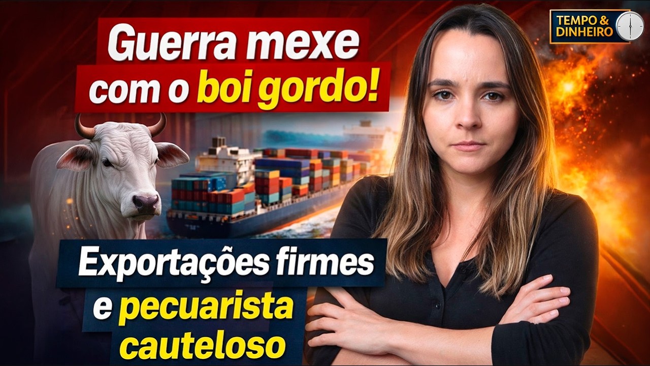 Boi gordo e guerra no oriente médio: exportações são mantidas. Pecuarista cauteloso