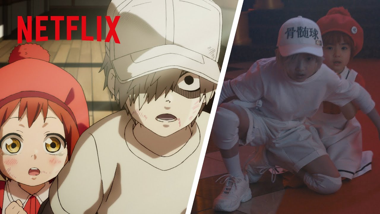 アニメ&times;実写『はたらく細胞』- 血球を守れ！ 小さくても敵に立ち向かう | Netflix Japan