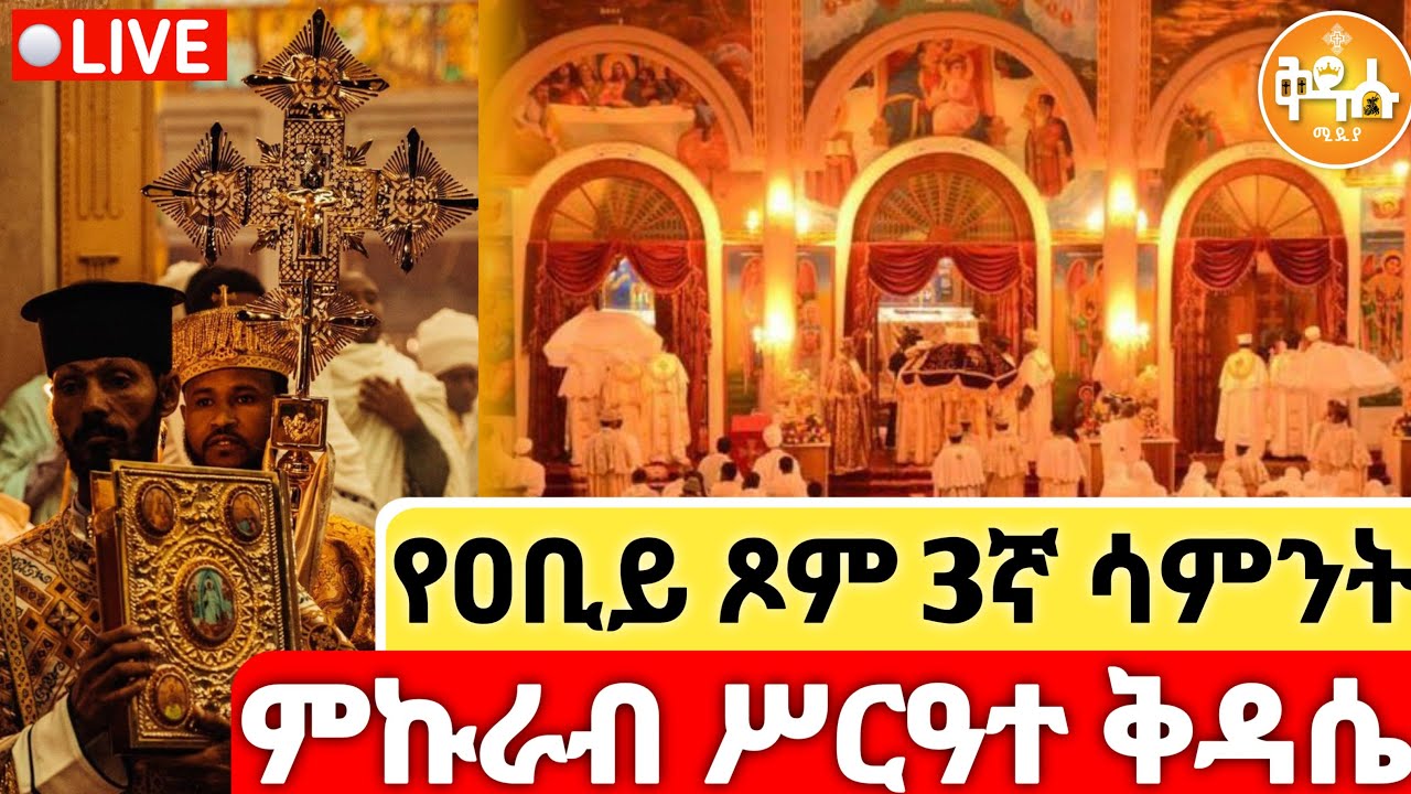 🔴LIVE #ሥርዓተ_ቅዳሴ_ምኩራብ #ዐቢይ_ጾም_3ኛ_ሳምንት 👉 ቀጥታ ⭕️ ከገርጂ ቅዱስ ጊዮርጊስ ቤተክርስቲያን || ቅዱሱ ሚዲያ