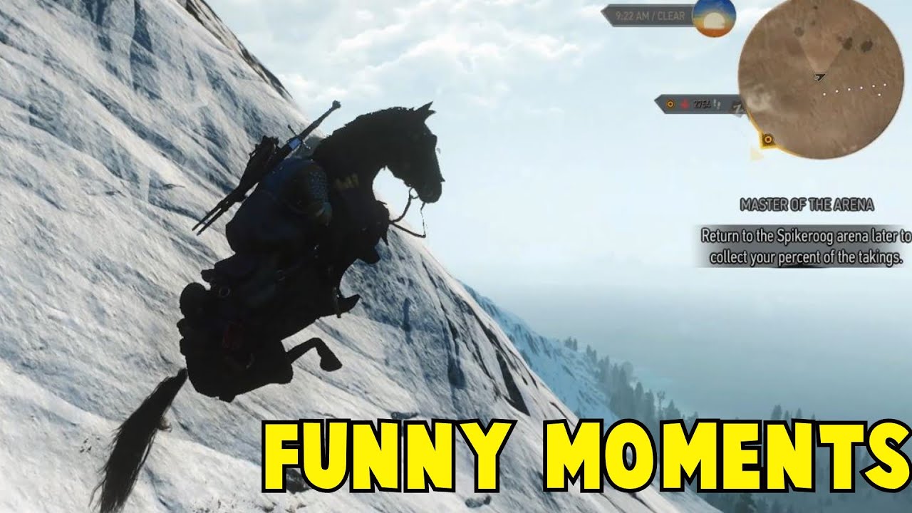 The Witcher 3 Funny Moments