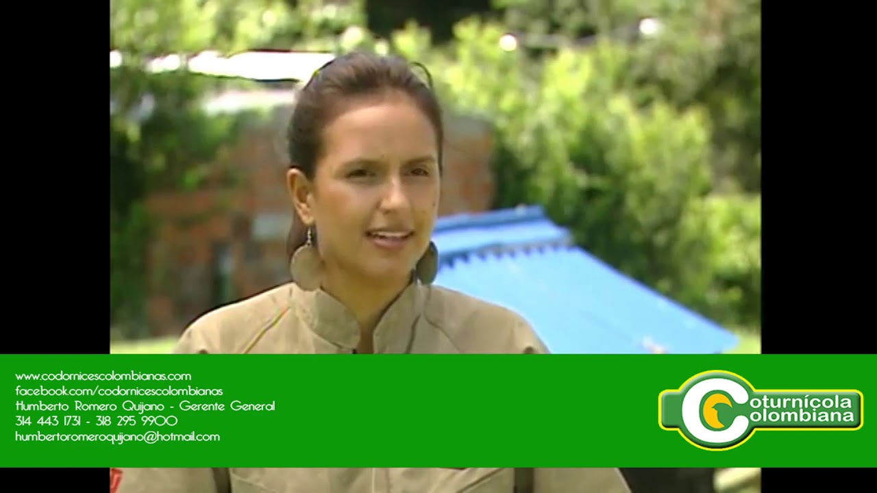 MODELO DE NEGOCIO COTURNICOLA DE COLOMBIA