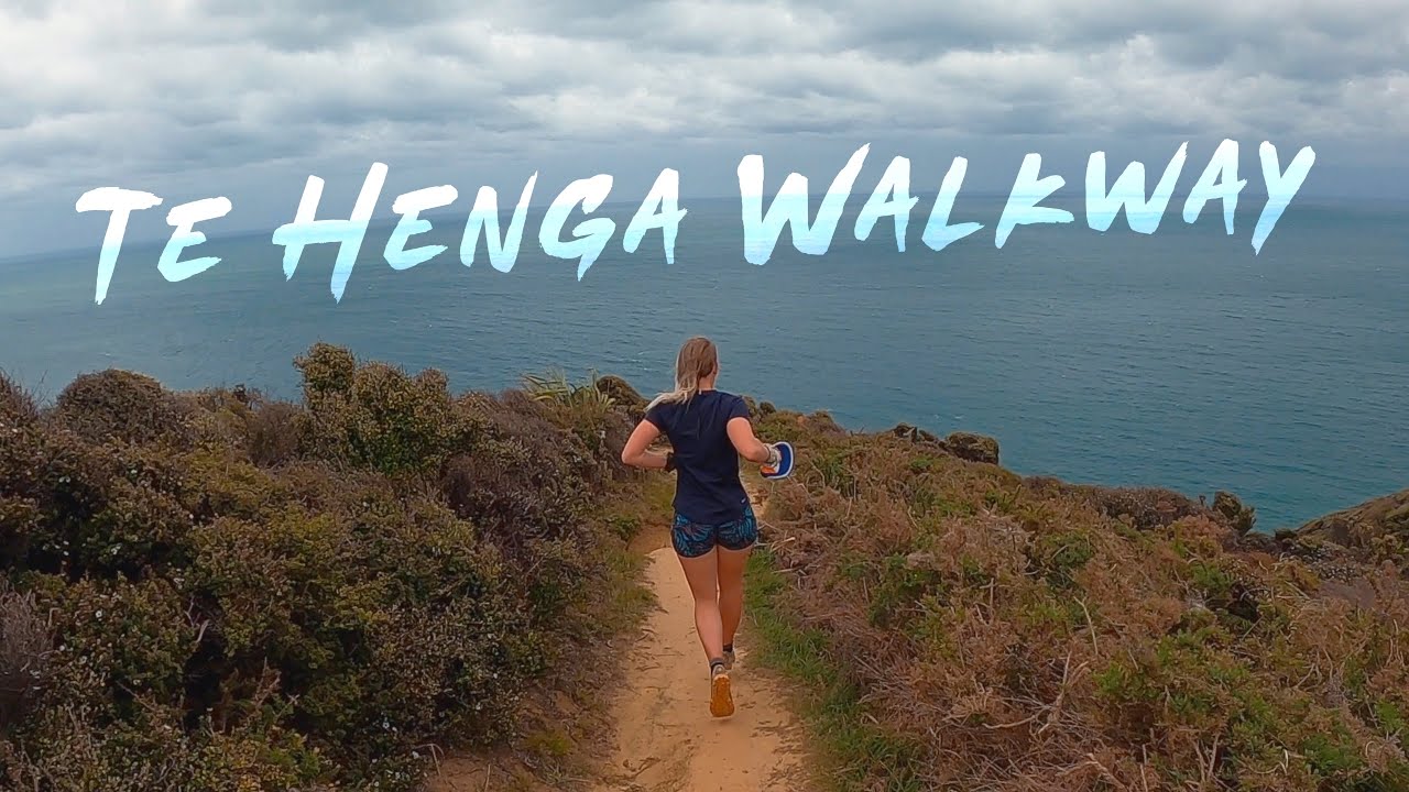 Te Henga Walkway, Bethells Beach | West Auckland, NZ