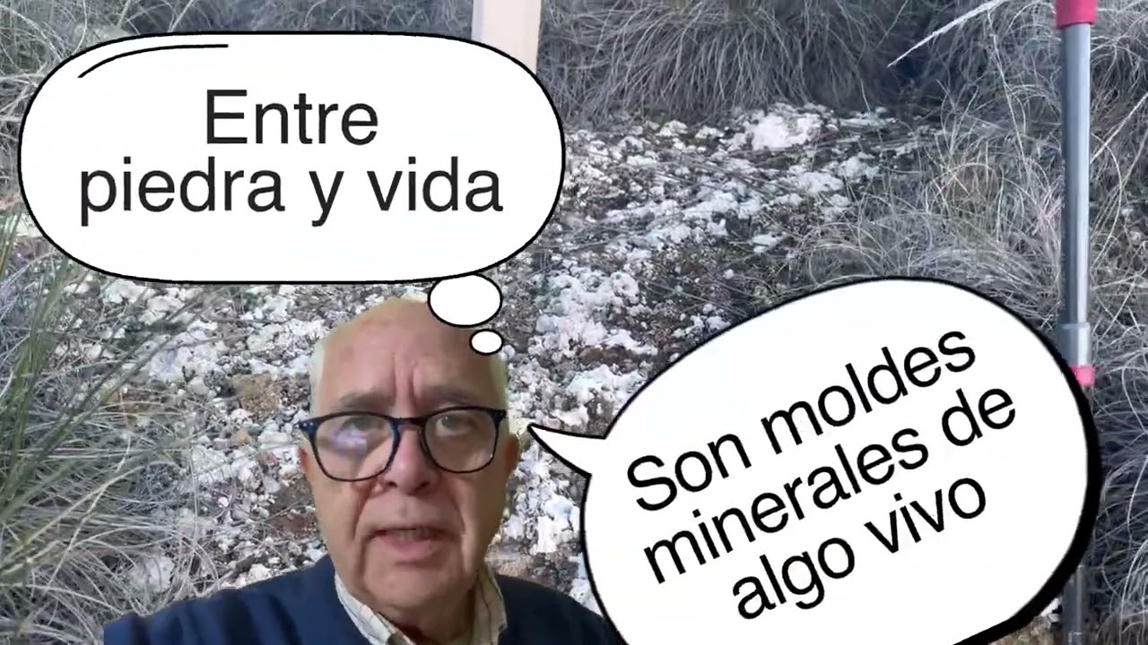 18 de enero de 2026