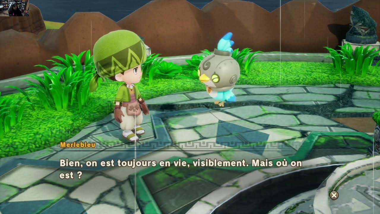 FANTASY LIFE i : La voleuse de temps