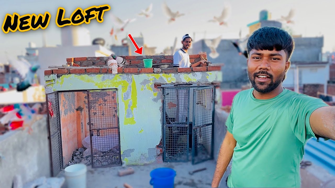 New Loft ♥️| Kabootar Ka Naya Ghar 🏠 ☺️| कबूतर का नया घर 😍