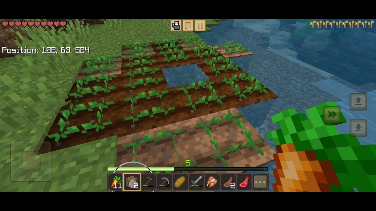 Second Minecraft video