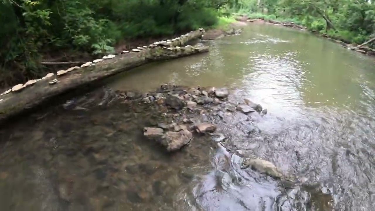 Quick fishing session after work! Dedicating this video to Realistic Fishing channel | Creek Fishing