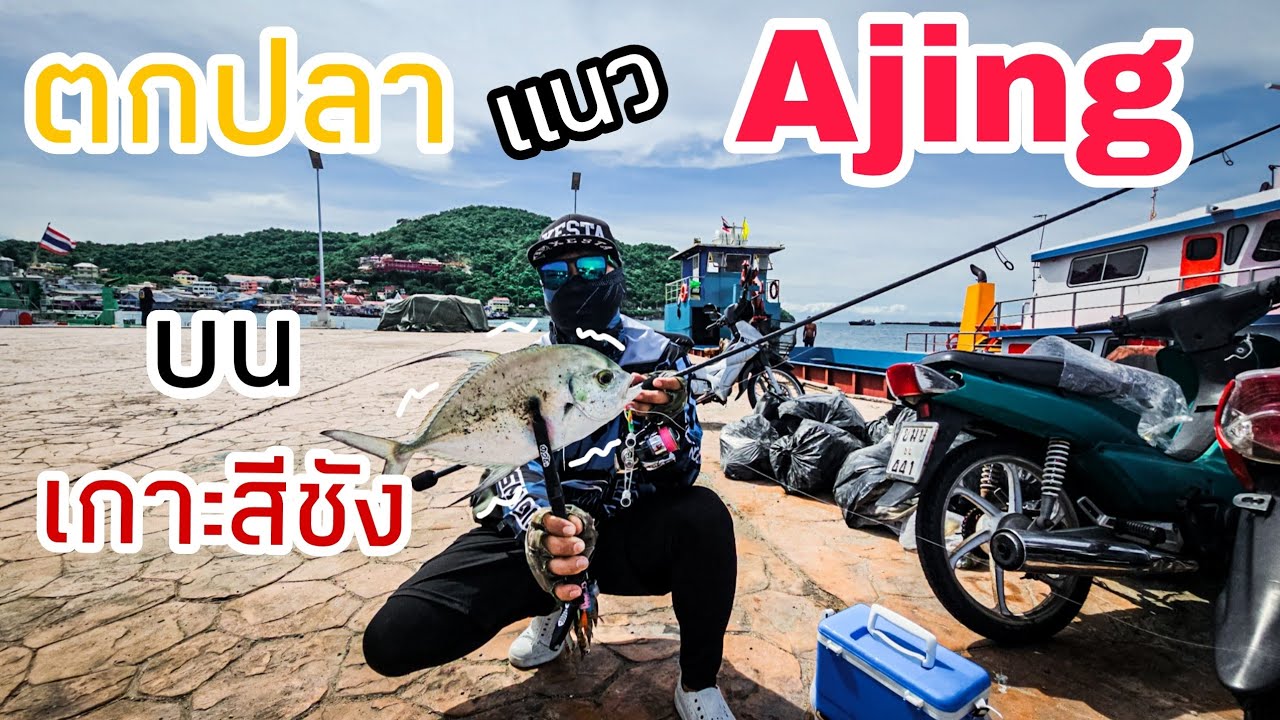 ตกปลา แนว Ajing /  LightGame บนเกาะสีชัง 