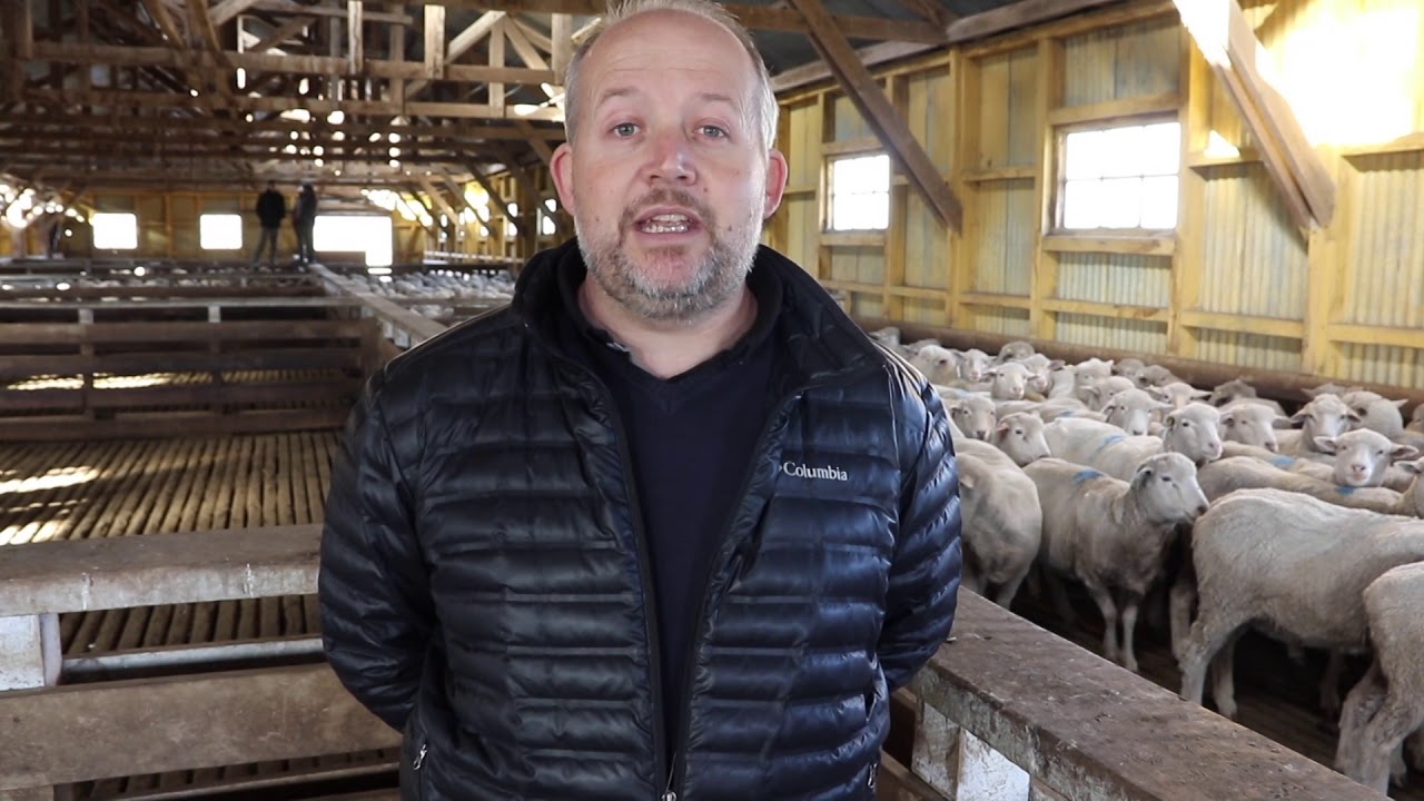 07/05/19 El Dohne Merino en Tierra del Fuego - bloque 2