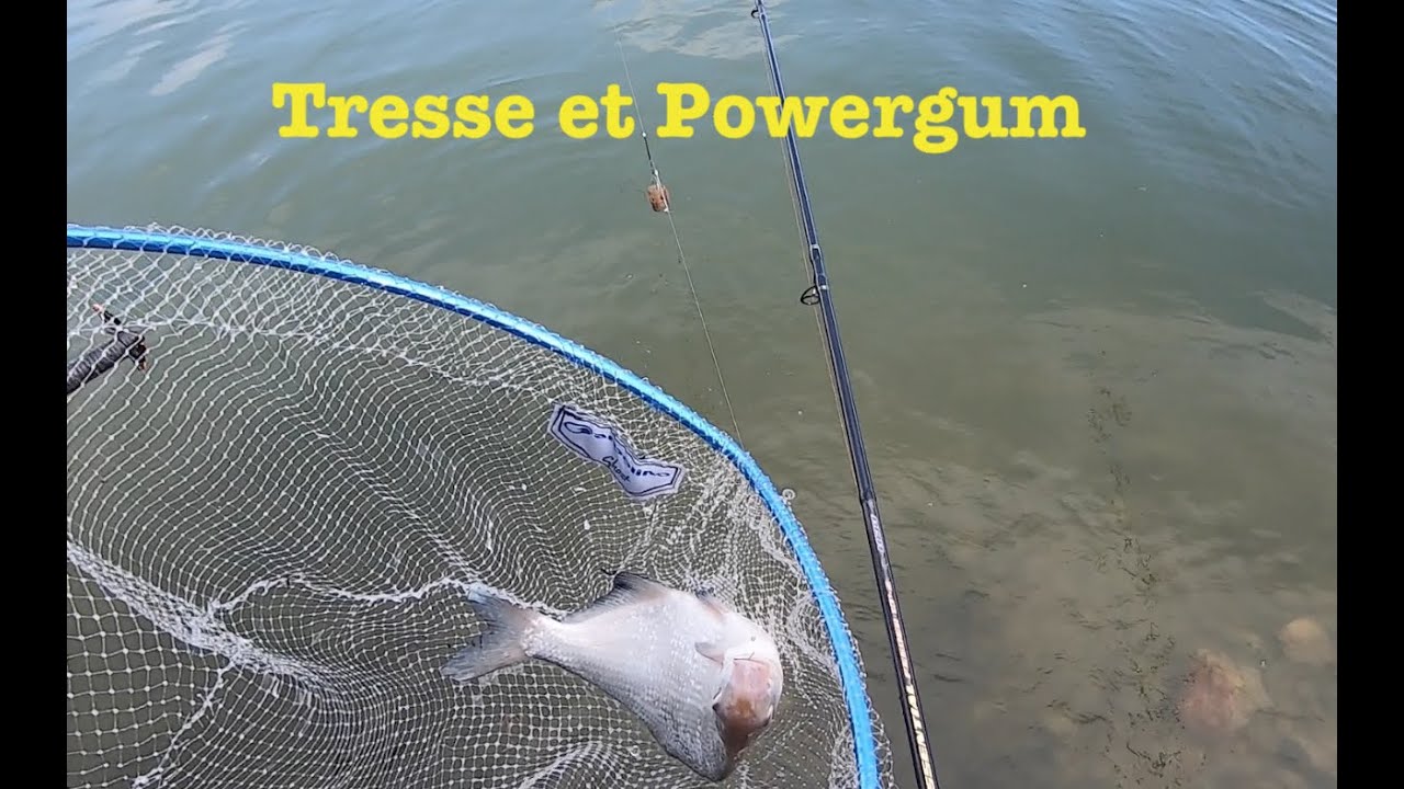 Ligne feeder en tresse directe et Powergum