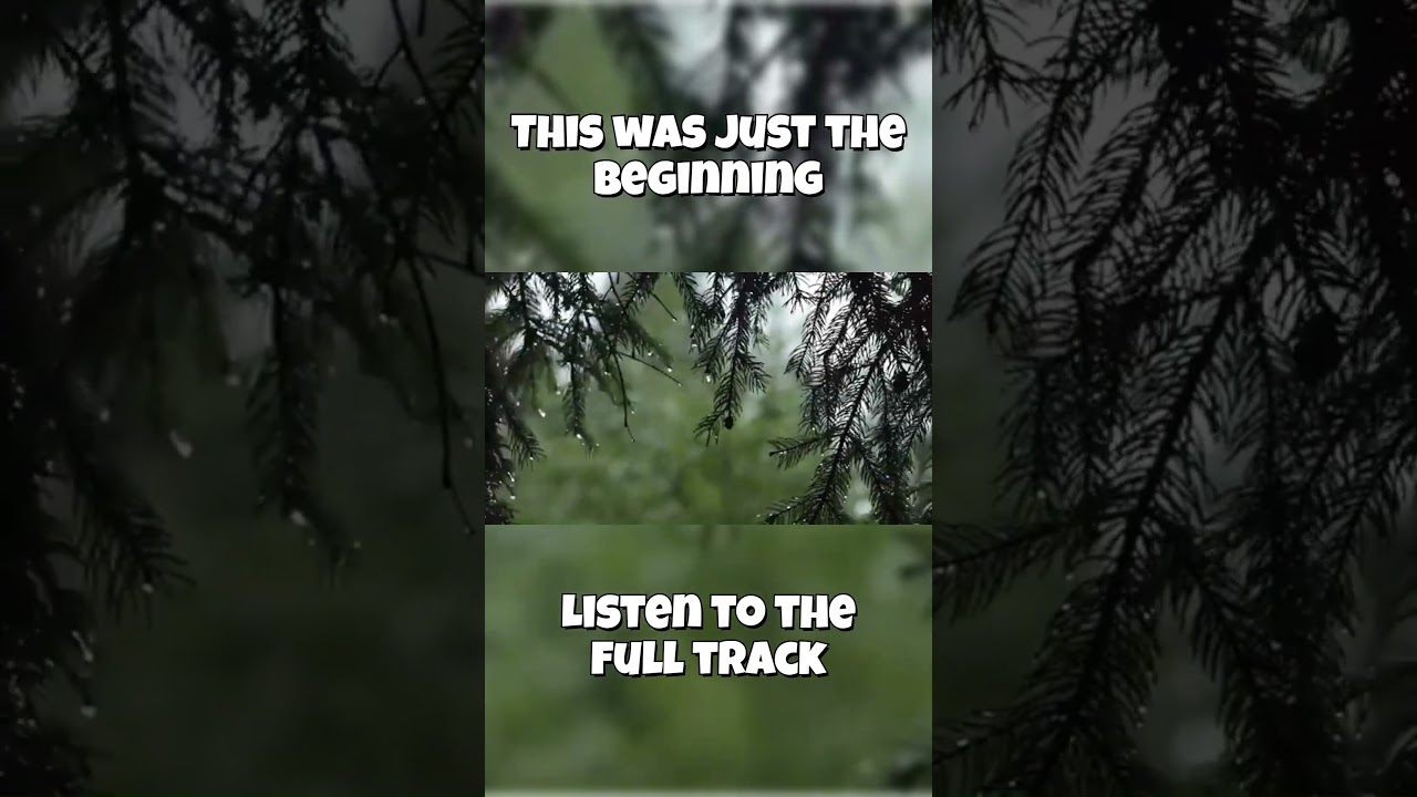 POV: You Finally Let Go... #studymusic #aestheticsound #backgroundmusic