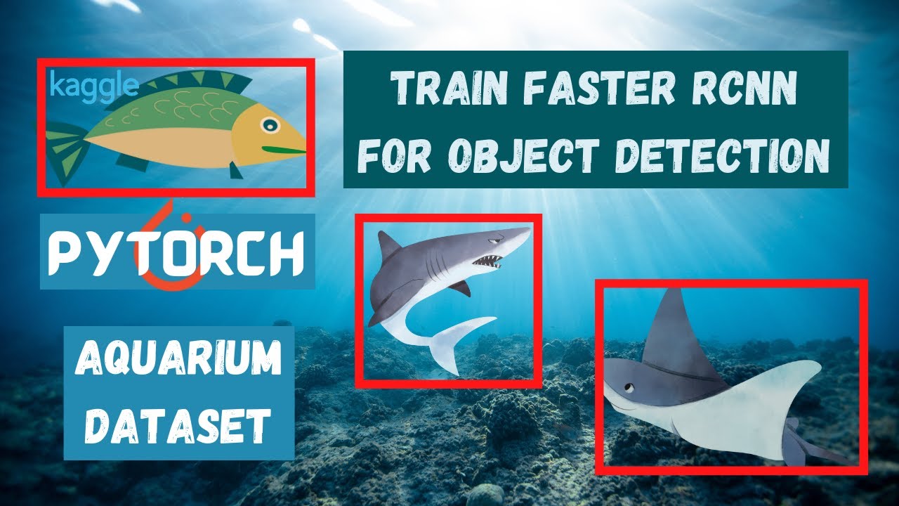 Train Object Detection Models in PyTorch | Faster RCNN | Aquarium Detection