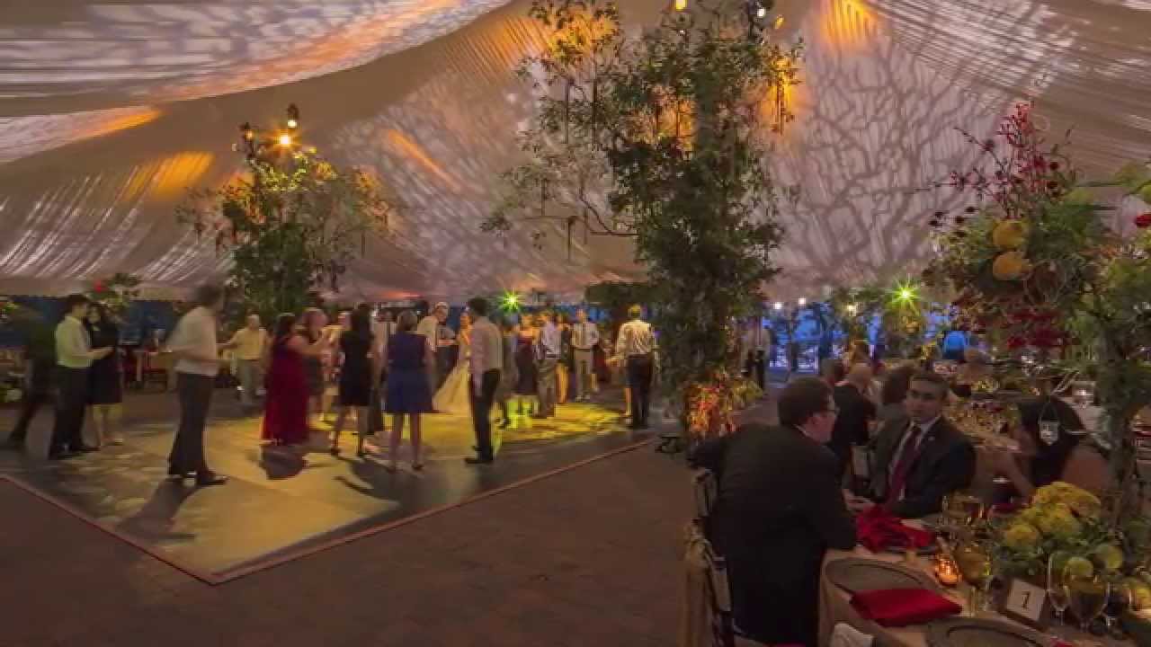 Time Lapse Fantasy Art Themed Wedding Design Video