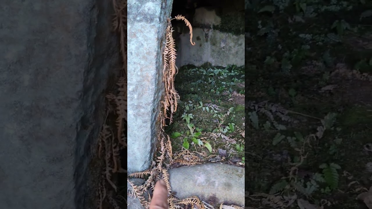 黄金塚古墳  熊本県山鹿市