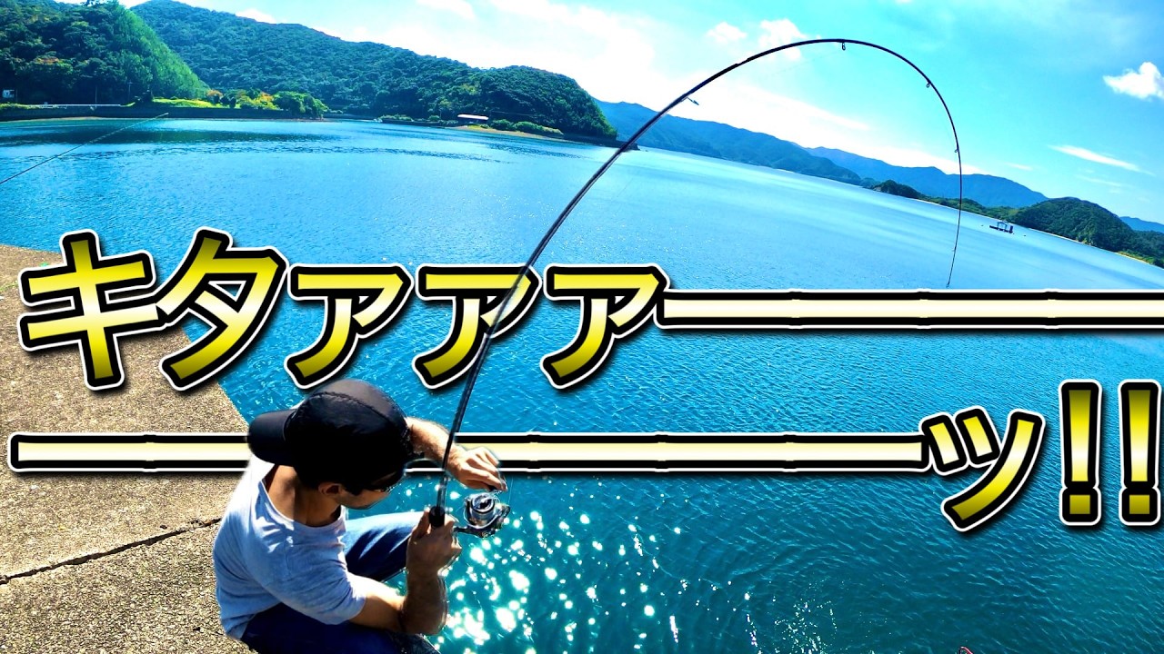 またキタぁぁぁ！！！無限に釣れる堤防が面白過ぎて、、、