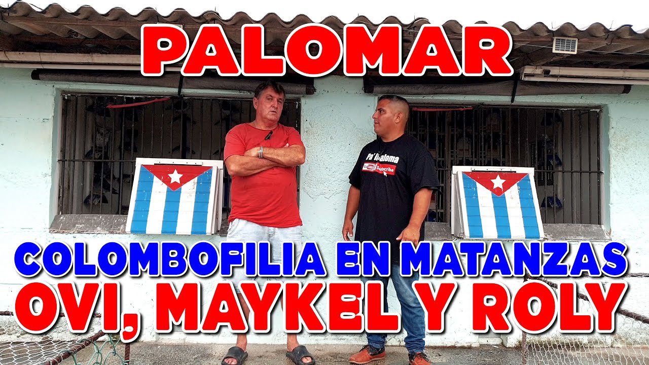 Colombofilia Cubana. Palomar de Ovidio, Maykel y Roly. Matanzas