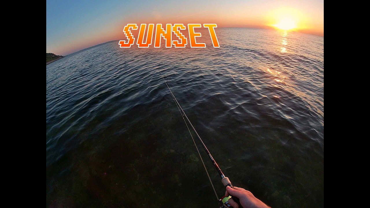 This is WHY you should GO FISHING EARLY | 🇩🇰 Limfjord Denmark sea trout spotting and coastal fishing