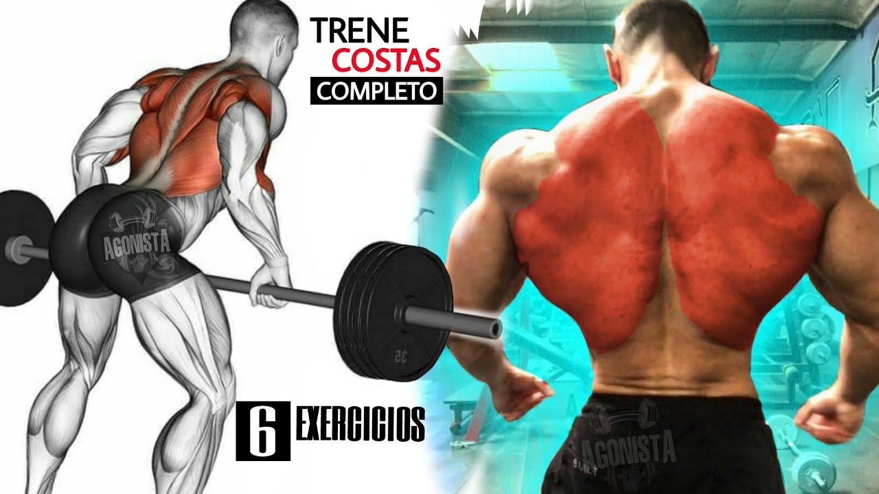 6 Exercícios Treino de Costas Completo