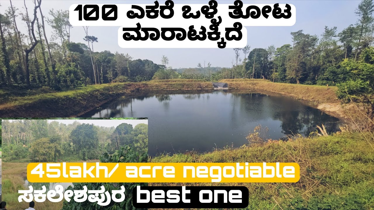 (#415)  92 acre the best coffee estate. (ಸಕಲೇಶಪುರ ) 80% flat area. 👌🏻🙏🏻