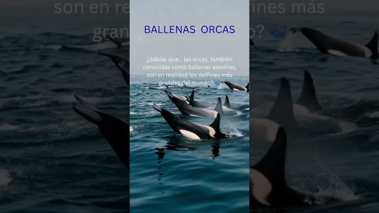 #Datos