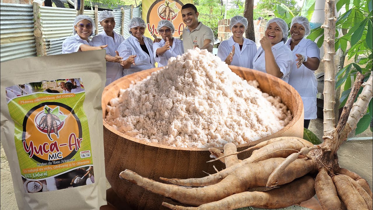 ✅️Cómo hacer HARINA DE YUCA en casa para arepas, tortillas y panes SIN GLUTEN♥️