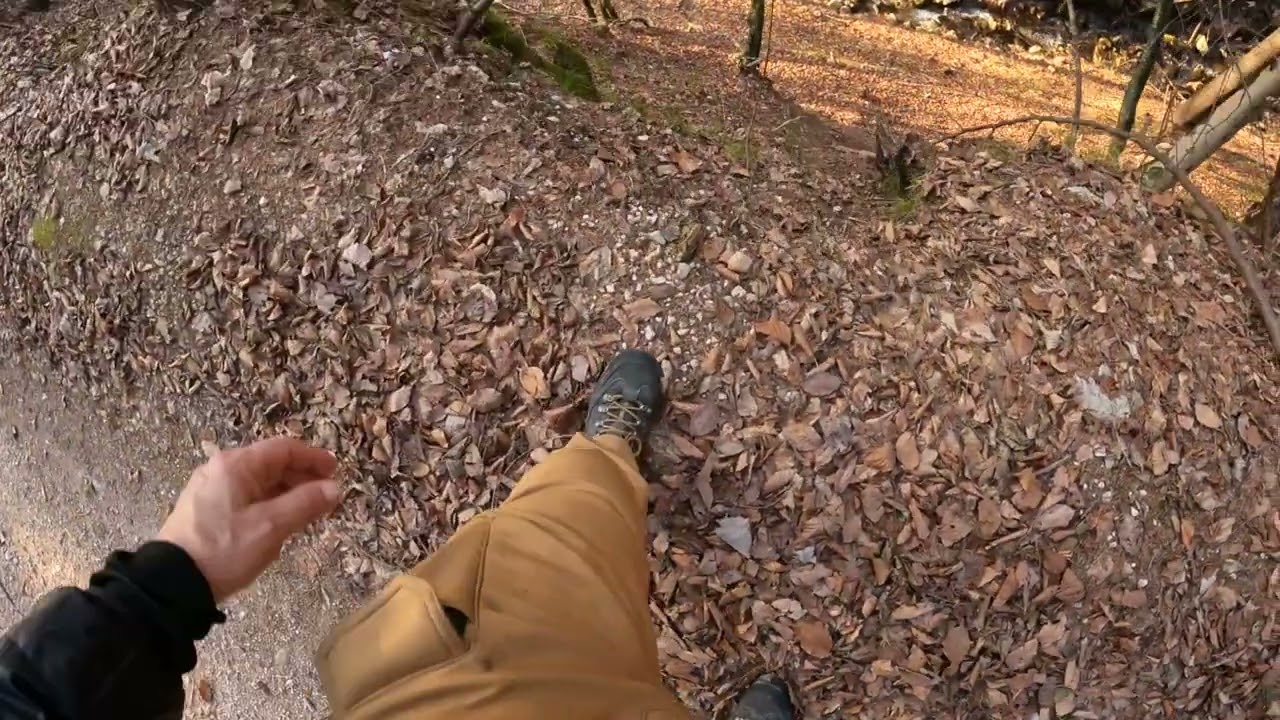 Riscoprire la bassa montagna (salita al Monte Gajer)