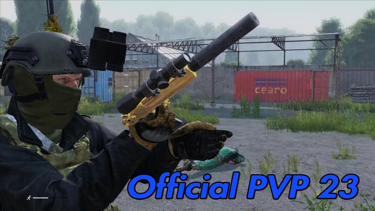DAYZ PS5 PVP 23 OFFICIAL SERVERS