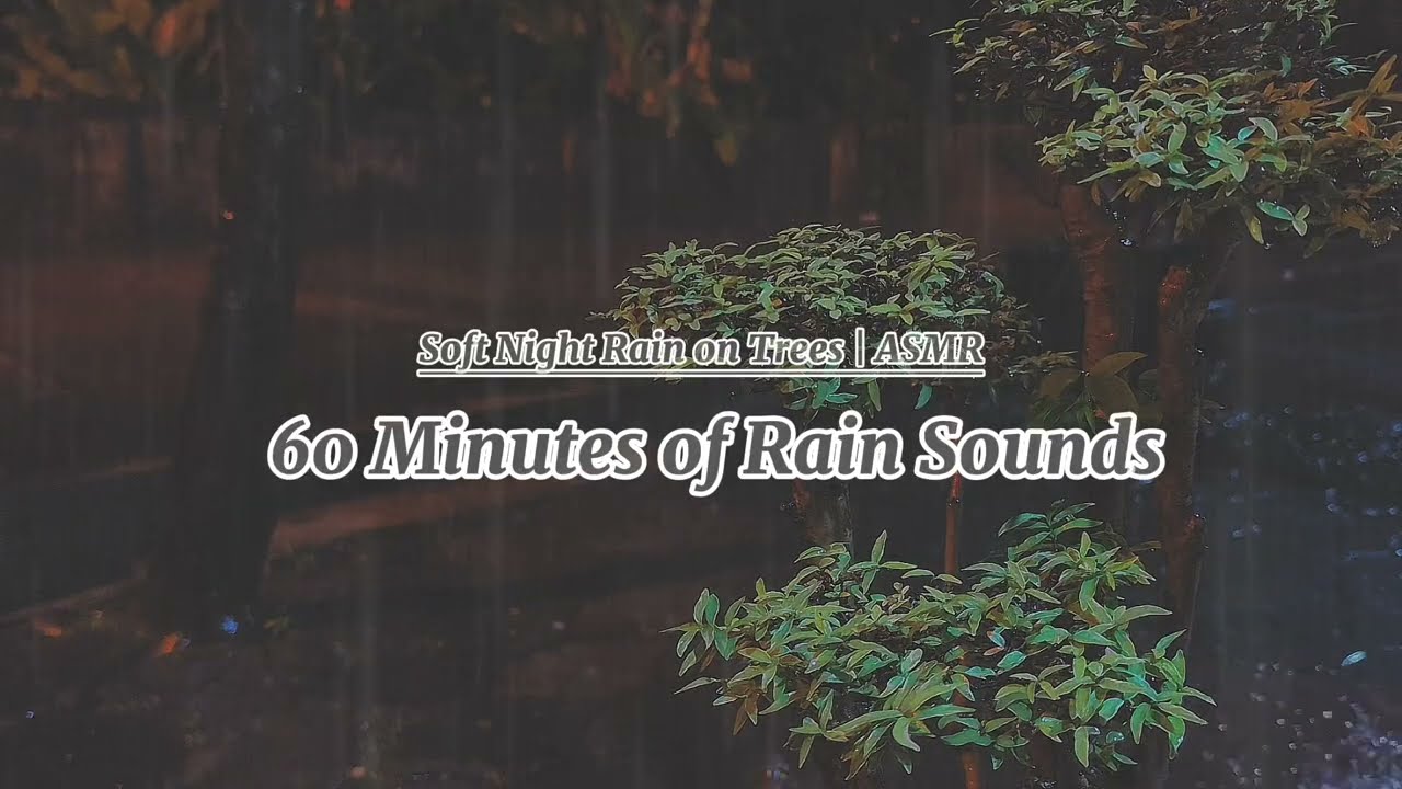 Soothing Rain Sounds in Front of the House | Original Audio for Sleep