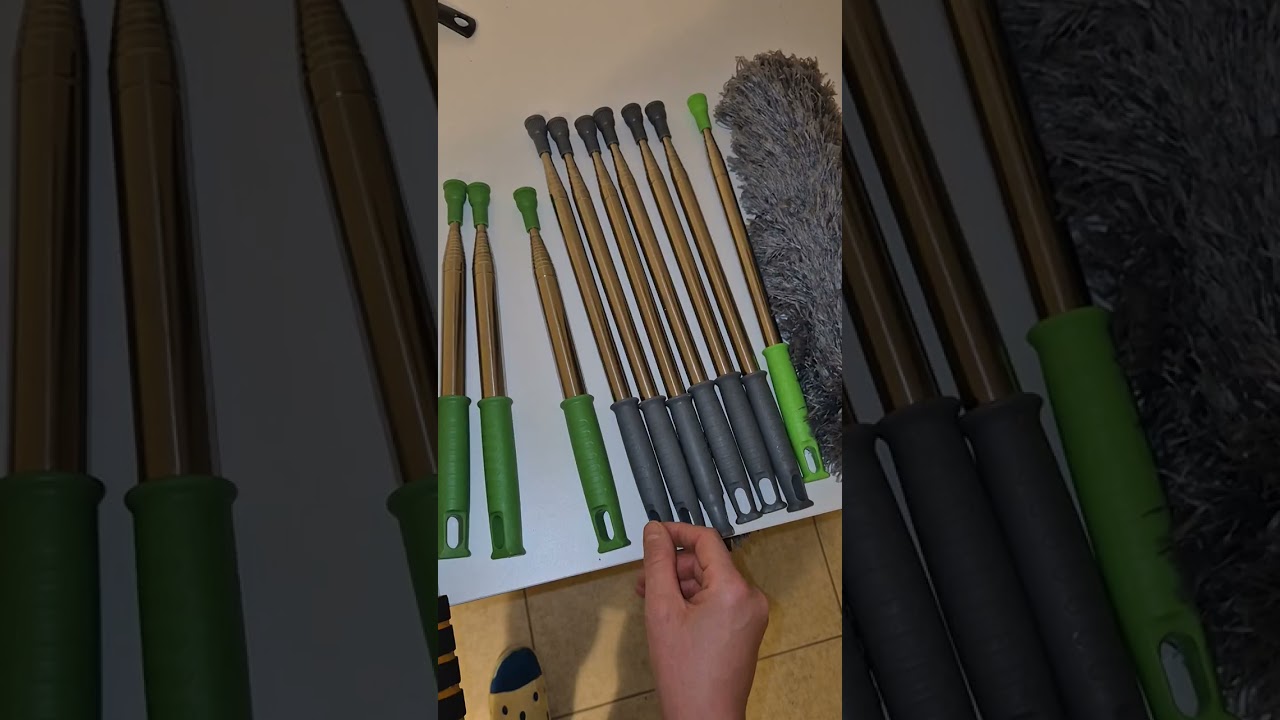 Stadttauben Eiertausch / Rettung / Bergung