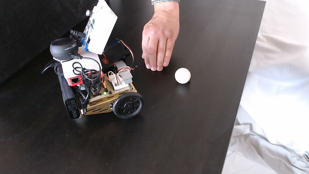 Ball follower + memorizer (2)