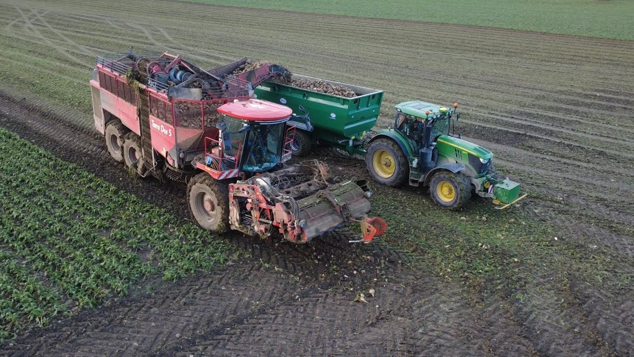 Repná Kampaň 2025 | Holmer TerraDos T5 | 2x John Deere 