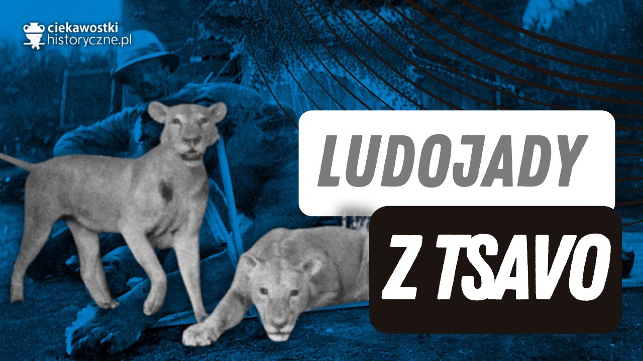 Ludojady z Tsavo