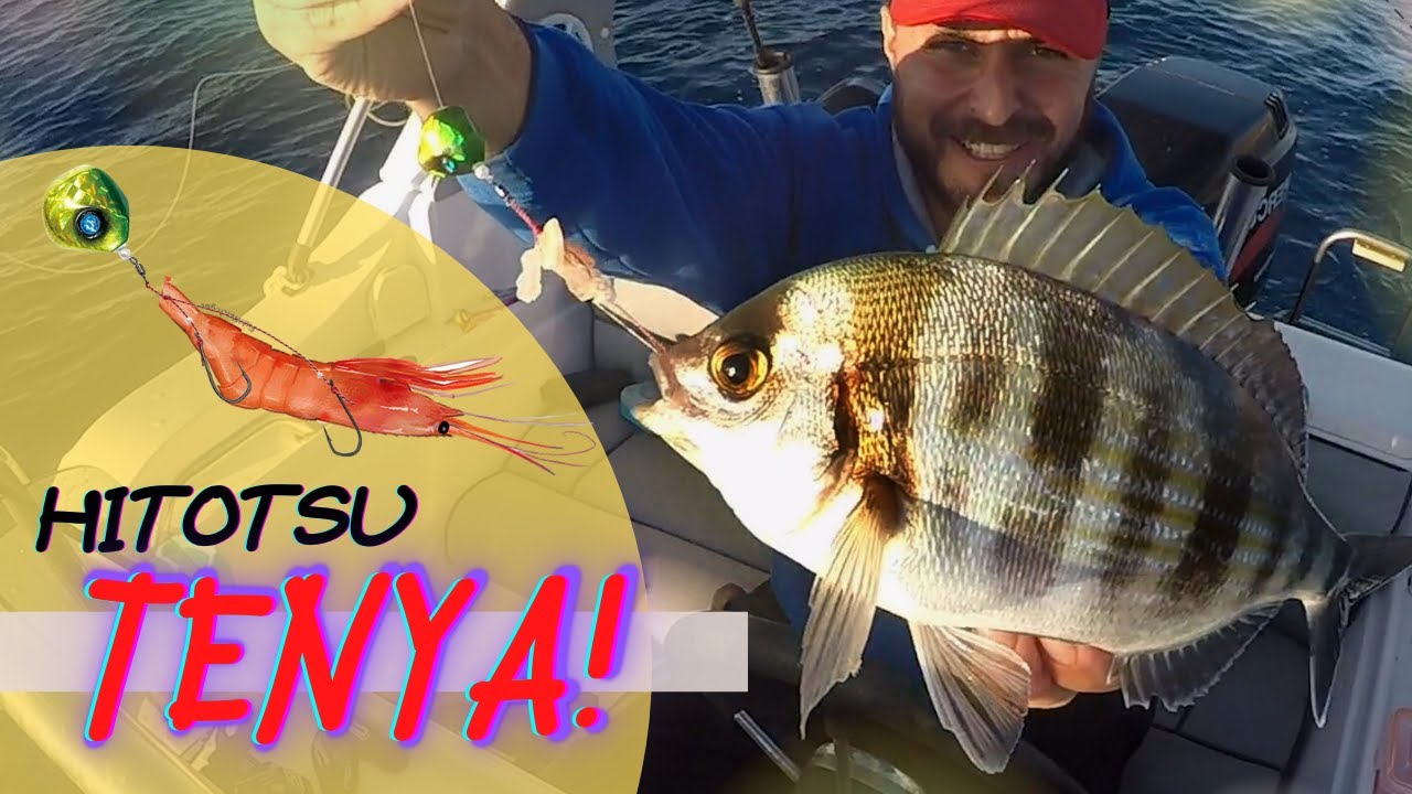HITOTSU TENYA🔸🦐 ΕΥΚΟΛΟ✔ ΑΠΟΔΟΤΙΚΟ✔ ΔΙΑΣΚΕΔΑΣΤΙΚΟ✔ ΨΑΡΕΜΑ👌