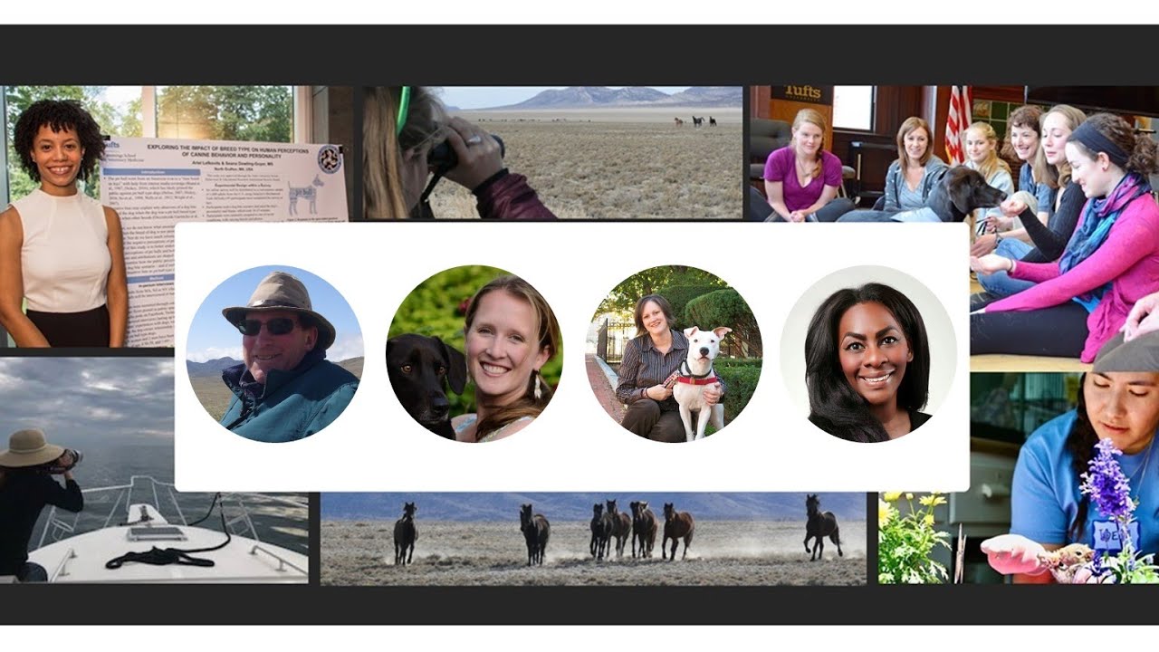 M.S. in Animals & Public Policy - Q&A with Program Faculty