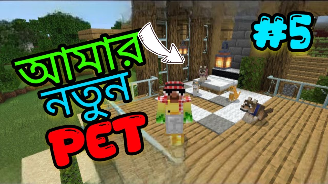 MY HOUSE IS NEW PET | YesKatiPie