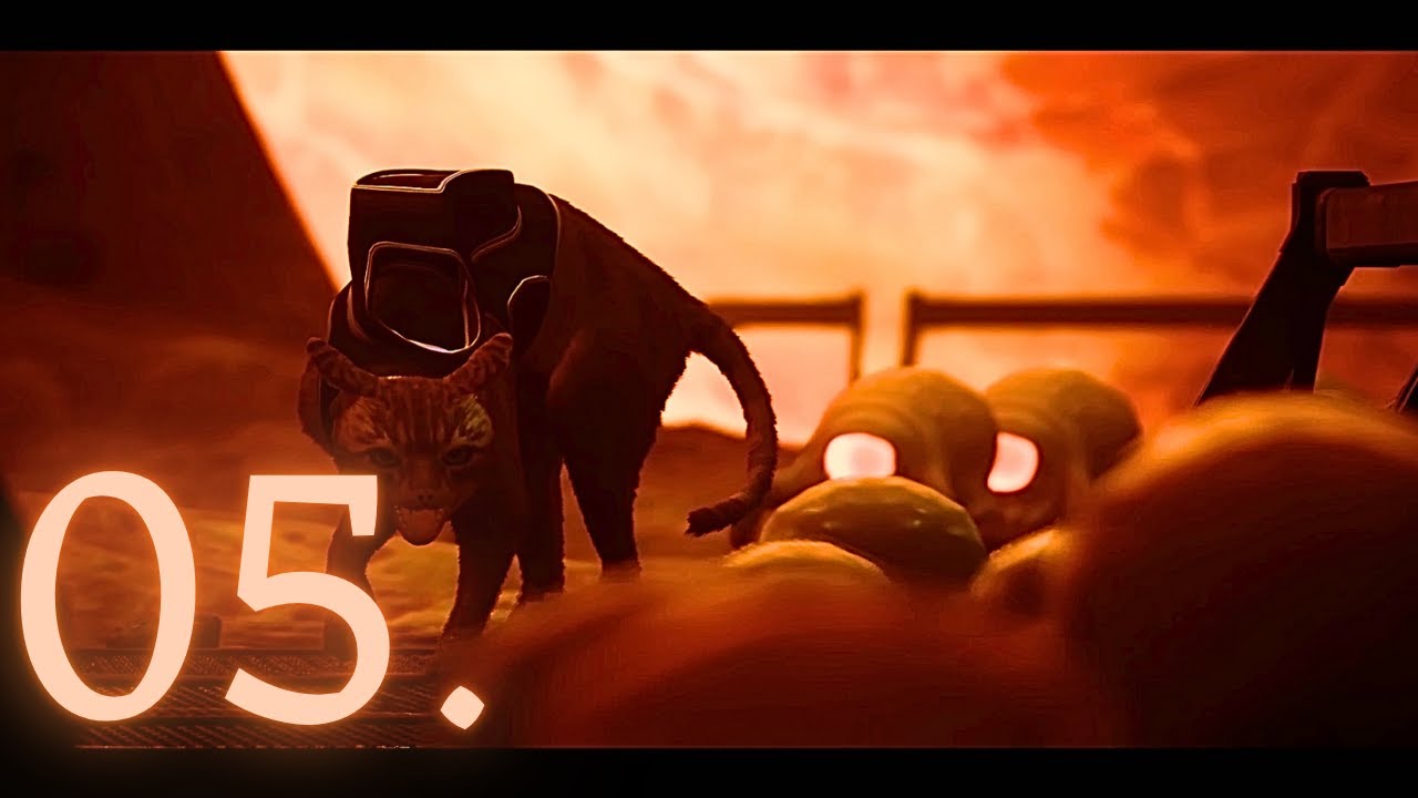 Meeting Seamus and Finding Doc! Stray Part 4