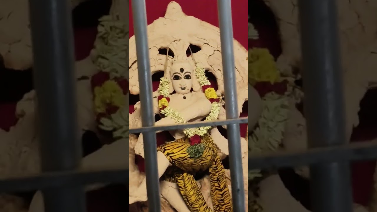 Pancha Sabha....Nataraja swami as Taamra sabhapati 