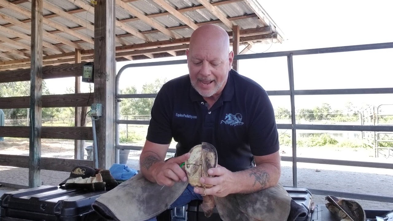 How to identify Hoof Axis