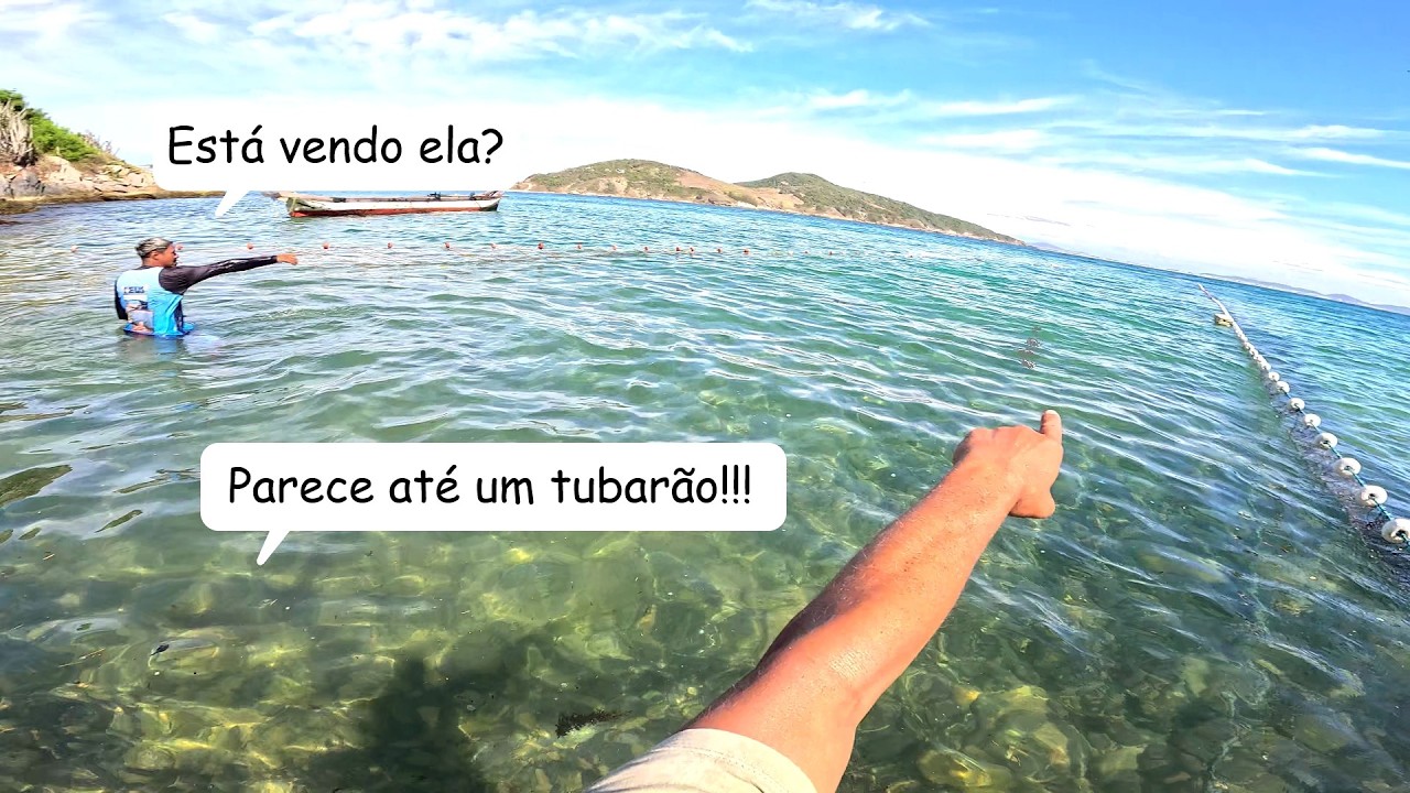 TEM UM 
