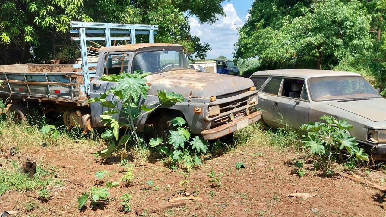 Olha como que está ficando lá no ferro velho no Vavá