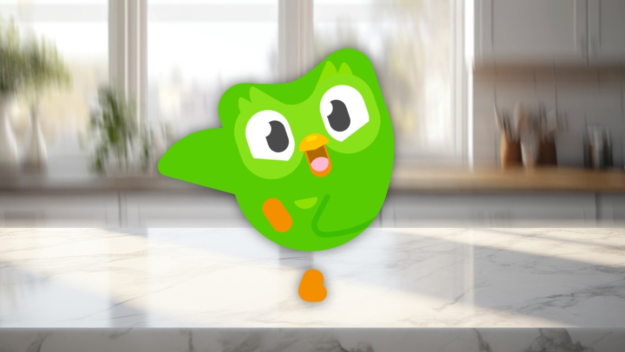 Day In The Life Of Duolingo