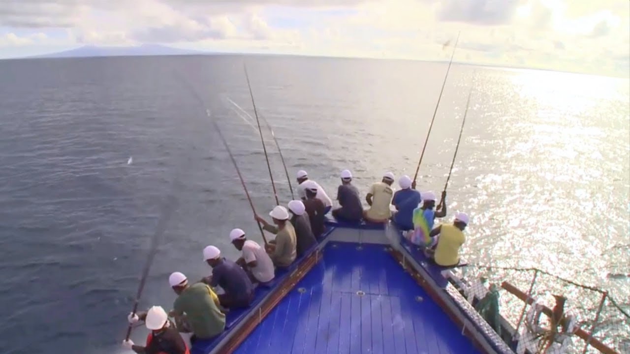 Rio Mare Pole & Line Tuna