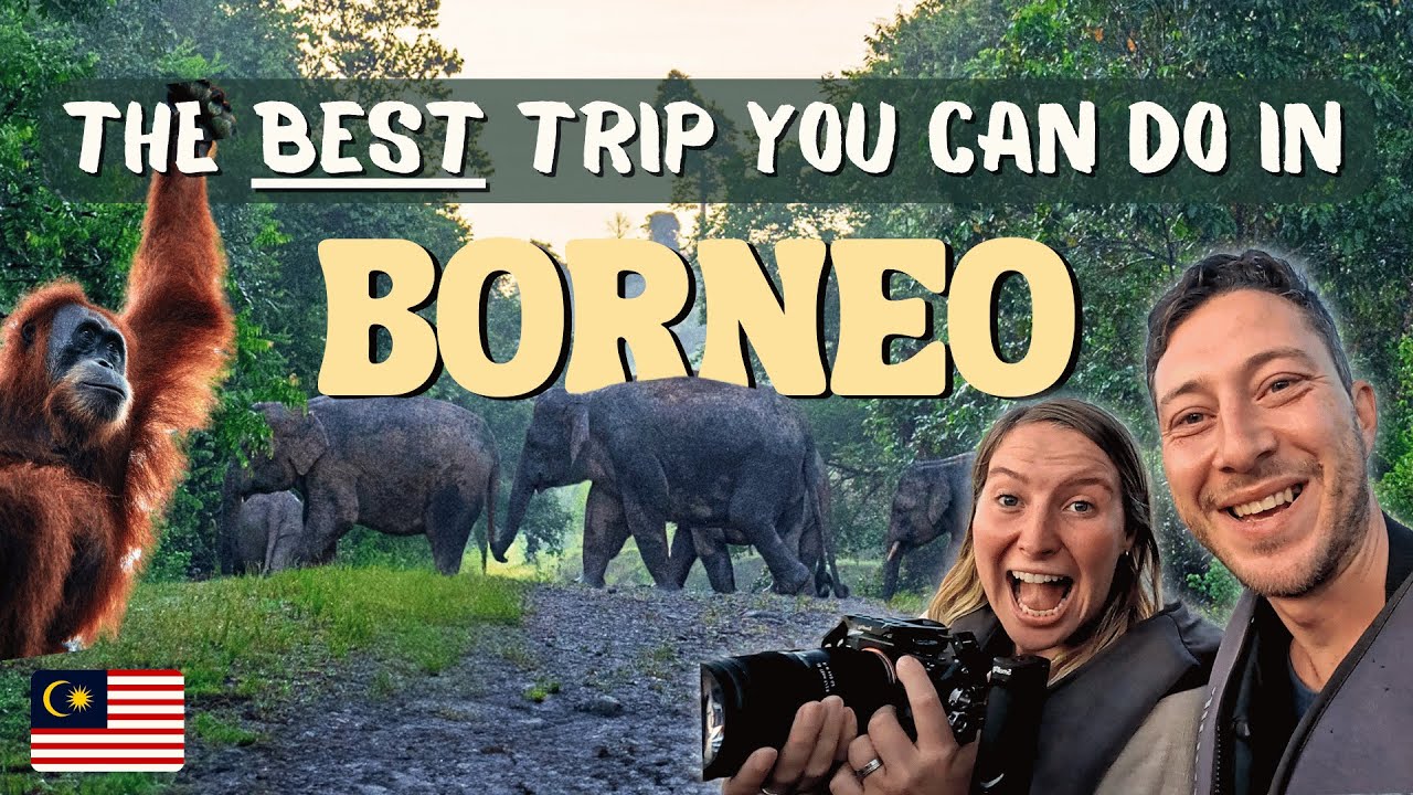 3-Day Kinabatangan River Cruise, Borneo &ndash; Wildlife Adventure!
