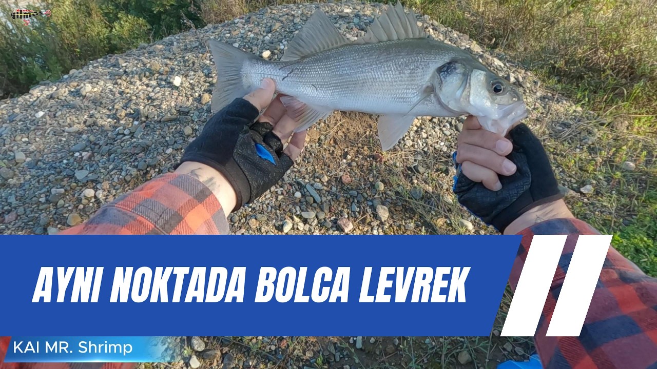 AYNI NOKTAYA ATARAK  LEVREKLERİ ALDIM