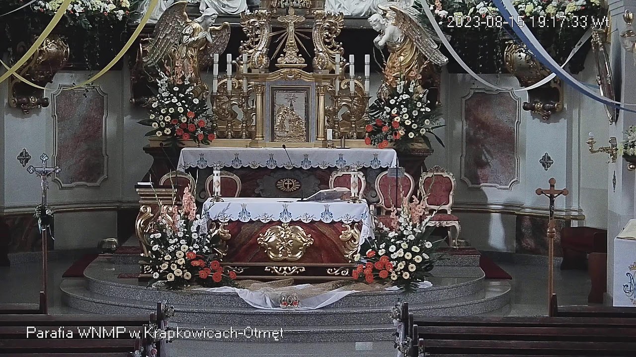 Msza św. Jubileuszowa 800 lat