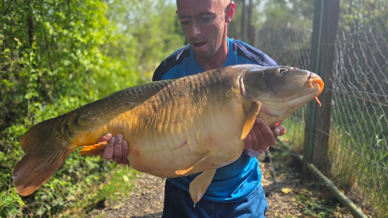 Darenth Big Lake Diaries