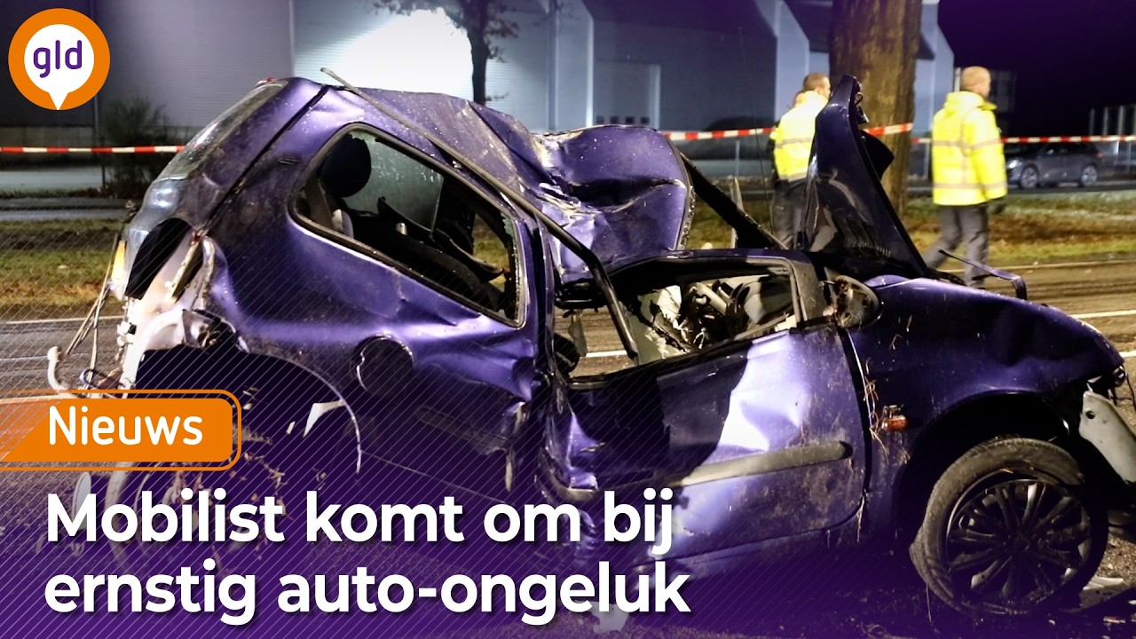 Auto vliegt in brand na botsing, bestuurder komt om