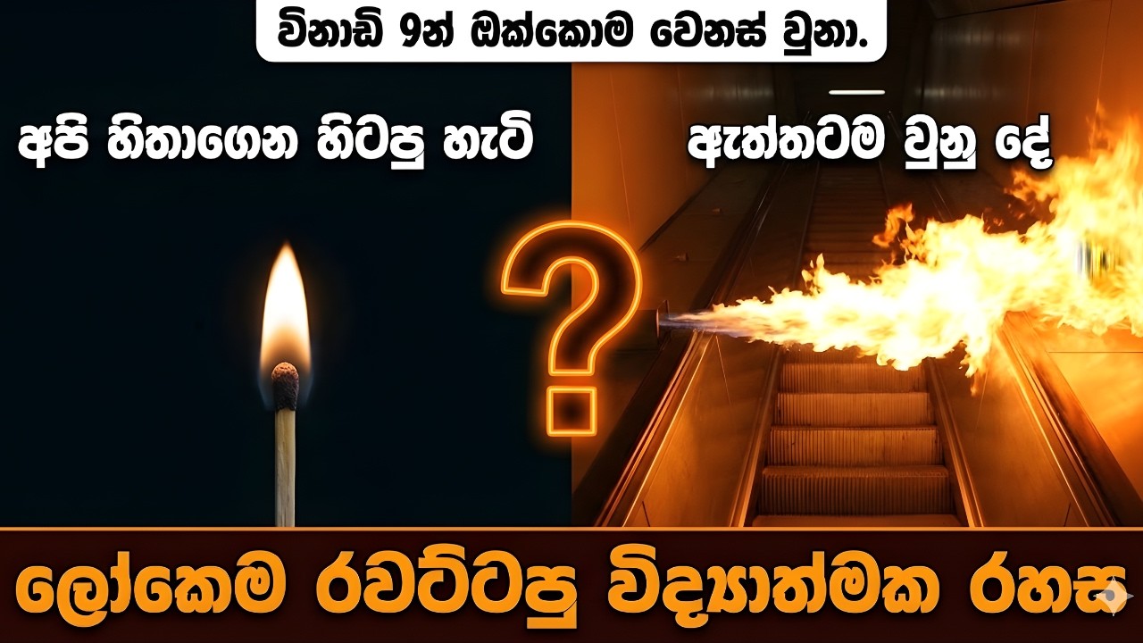 විද්‍යාව අපිව රවට්ටපු දවස! 🤯 පොඩි ගිනි කූරක් ලෝකයම වෙනස් කරයි - The Day Science Failed