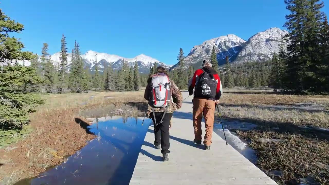 Trestle Bridge and Siffleur Falls Trail suspension Bridge