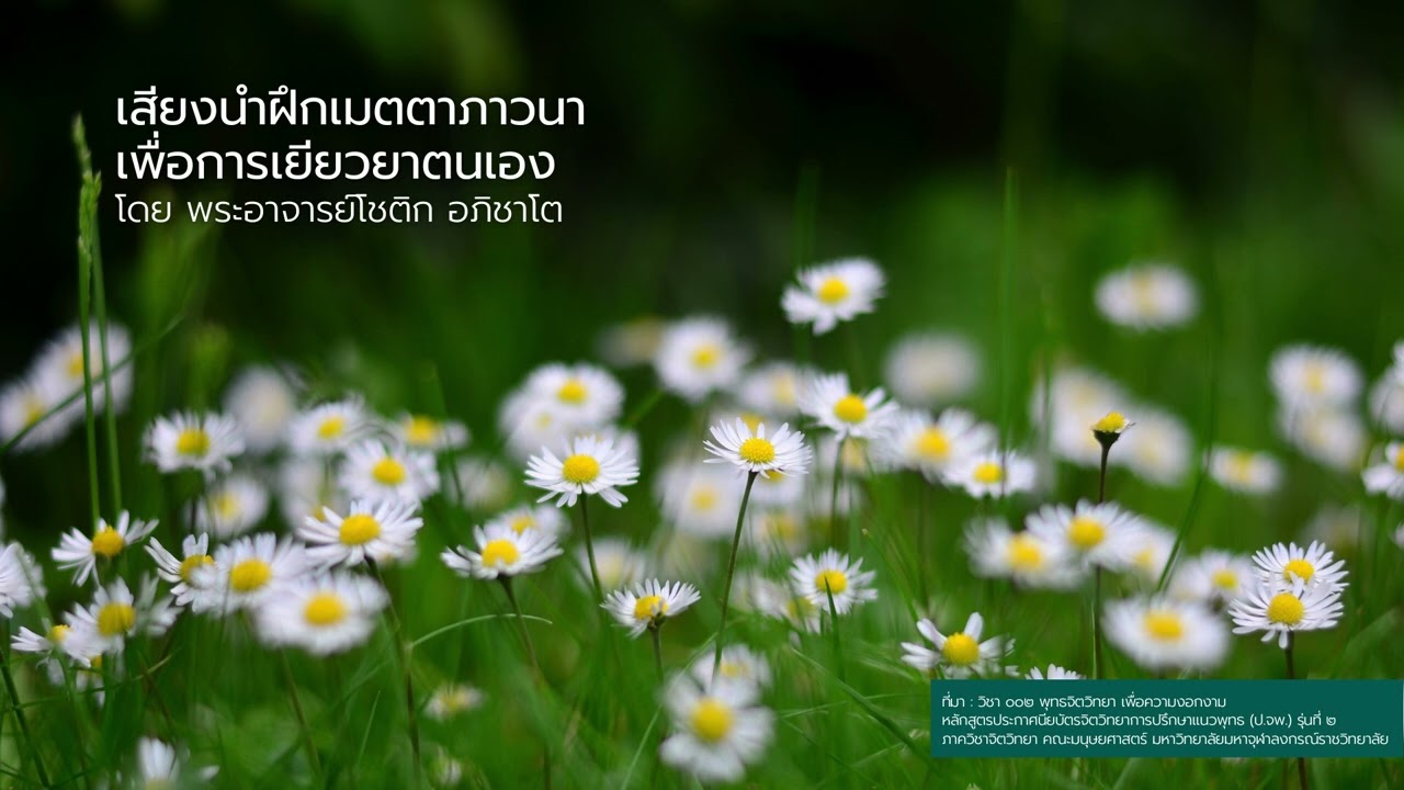 เสียงนำฝึก : เมตตาภาวนา เพื่อการเยียวยาวตนเอง :: พระอาจารย์โชติก อภิชาโต